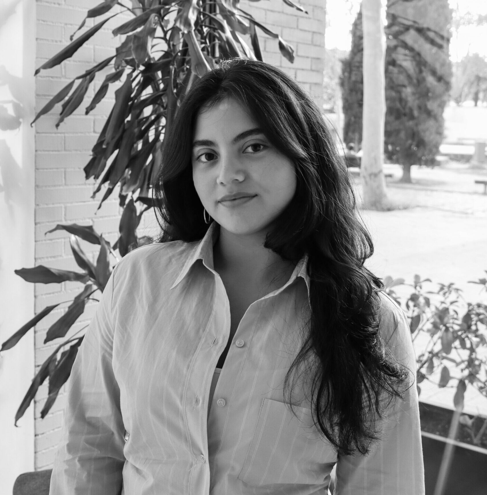 IMG_88081-scaled-e1729077296517